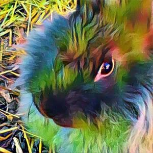 Meet your Posher, Sonja